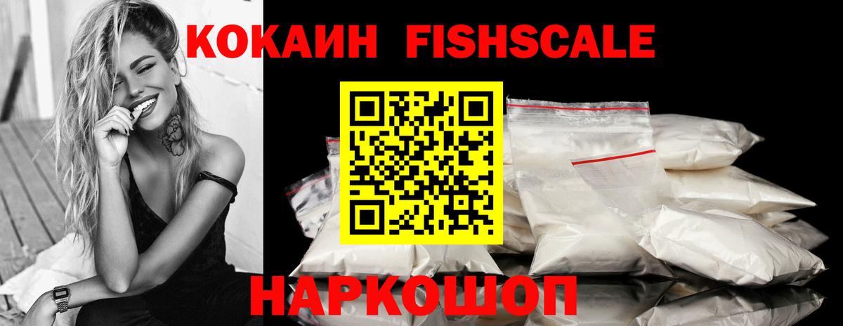 Cocaine Fish Scale  Cocaine VHQ  COCAIN  Вичуга  Вход с VPN 
