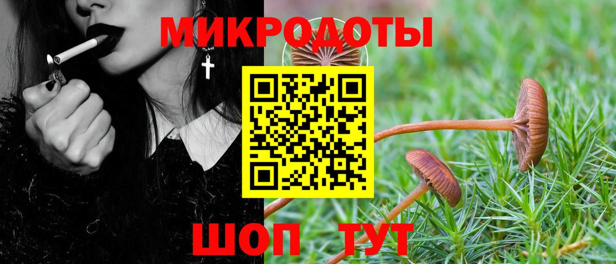 Вичуга  Псилоцибиновые грибы MAGIC MUSHROOMS  Вход с VPN  Псилоцибиновые грибы GOLDEN TEACHER 